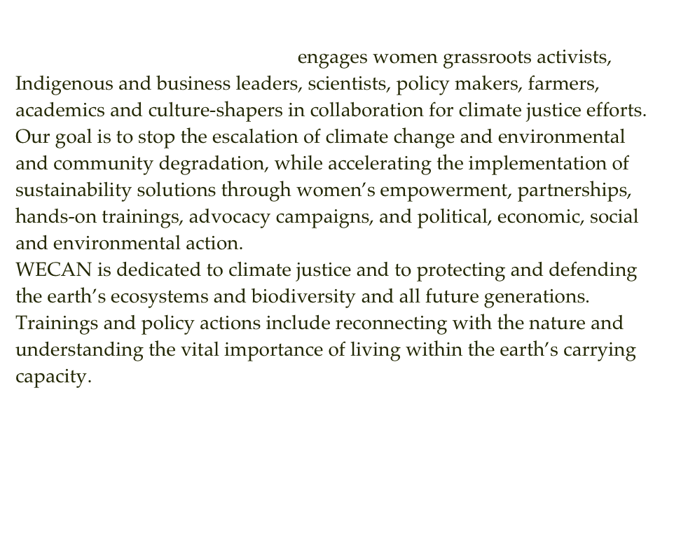 The Women’s Earth and Climate Action Network (WECAN) engages women grassroots activists, Indigenous and business leaders, scientists, policy makers, farmers, academics and culture-shapers in collaboration for climate justice efforts. Our goal is to stop the escalation of climate change and environmental and community degradation, while accelerating the implementation of sustainability solutions through women’s empowerment, partnerships, hands-on trainings, advocacy campaigns, and political, economic, social and environmental action.WECAN is dedicated to climate justice and to protecting and defending the earth’s ecosystems and biodiversity and all future generations. Trainings and policy actions include reconnecting with the nature and understanding the vital importance of living within the earth’s carrying capacity.

http://wecaninternational.org